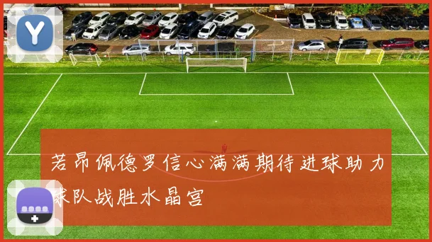 若昂佩德罗信心满满期待进球助力球队战胜水晶宫